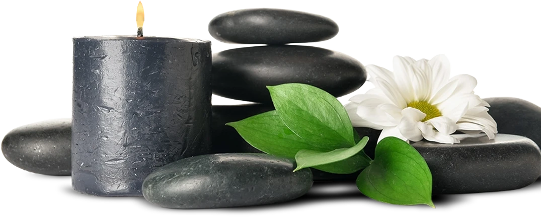 Our Massage And Wellness Services.