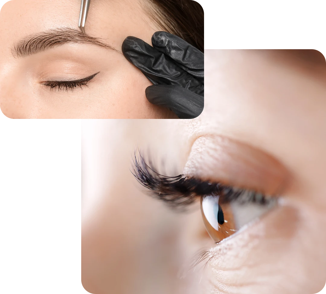 Brows & Lashes